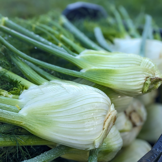 Fennel 1/2kg