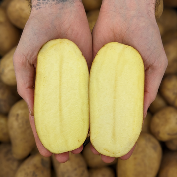 Patatas Agria Blanca 1kg