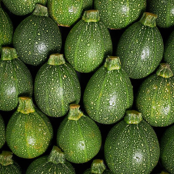 Round zucchini 500gr