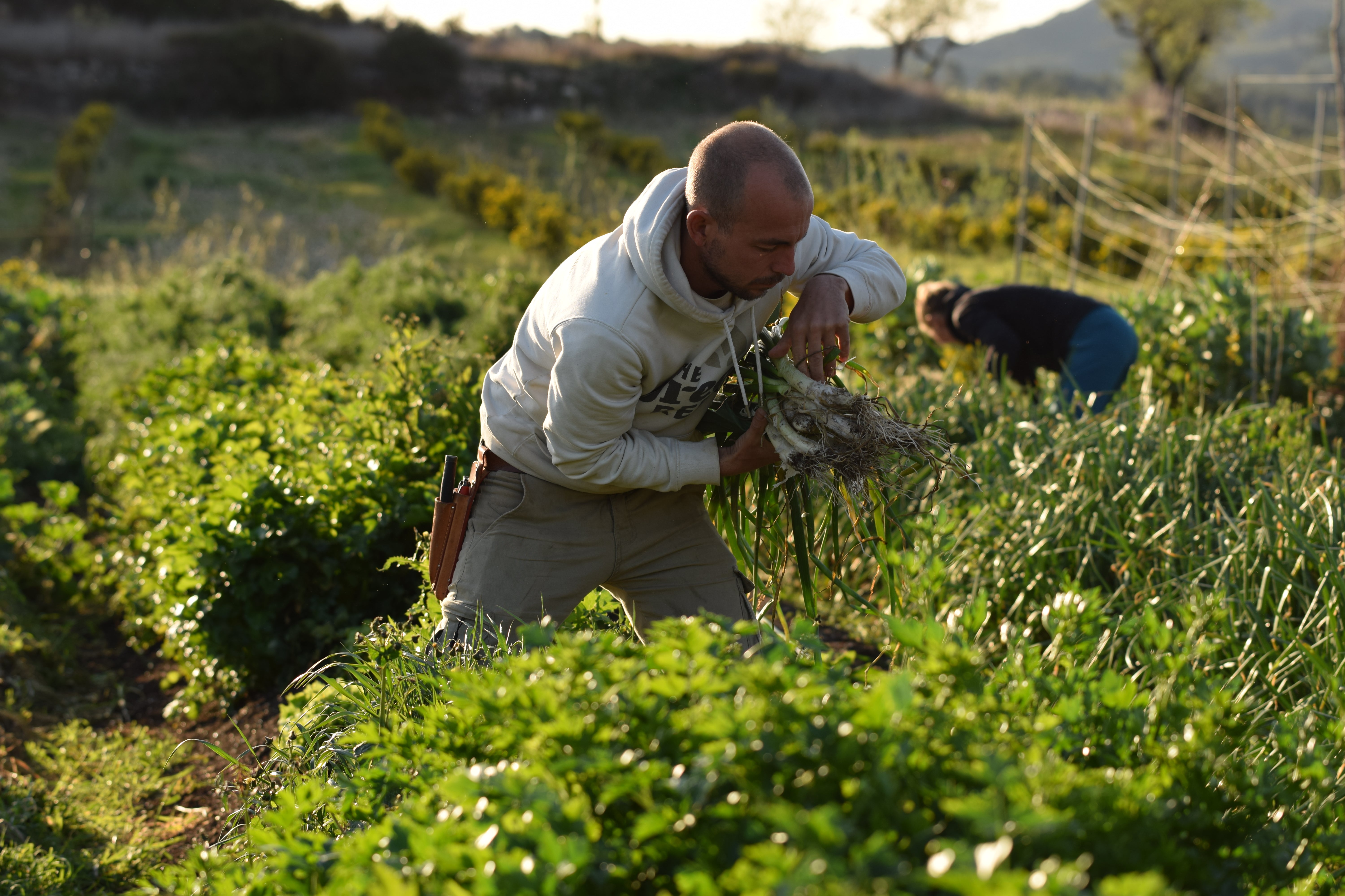 EAT LIKE IT MATTERS, BECAUSE IT DOES