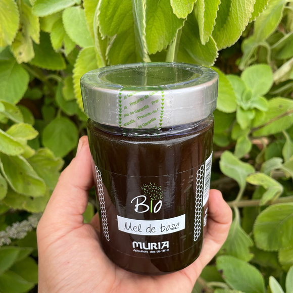 Miel de Bosque