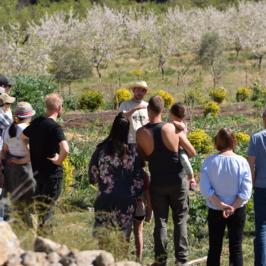 Farm Tour 10th January 11:00