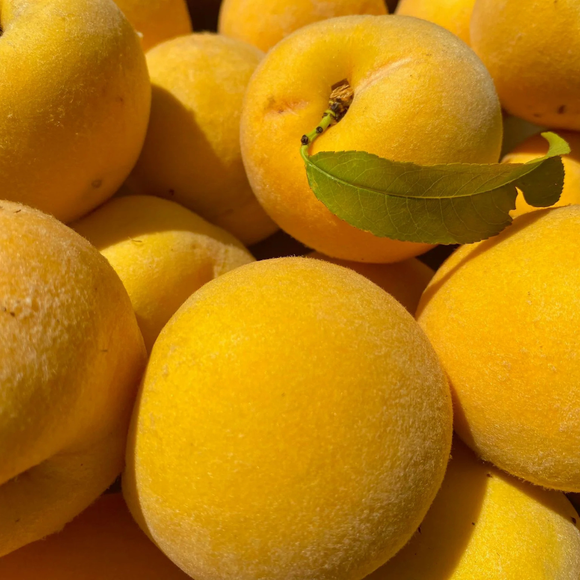 Yellow peach 500g
