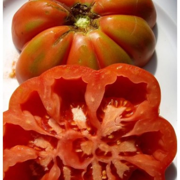 Tomate Rosa Ple 500gr