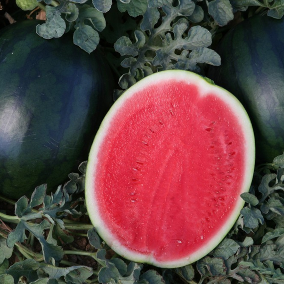Black Watermelon half unit 1.5-2kg