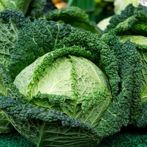 Savoy Cabbage