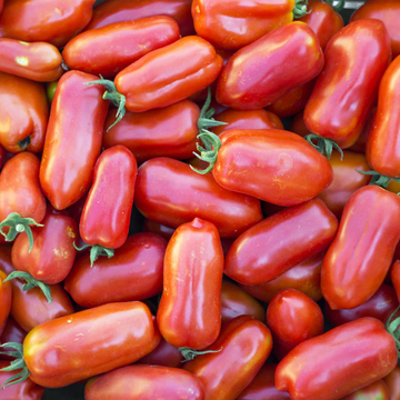 Tomaquat San Marzano 1kg