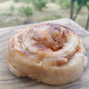 Sourdough Apricot bun
