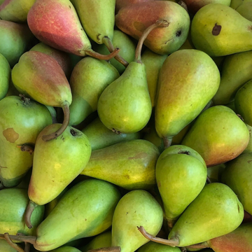 Pera Ercolini 500gr