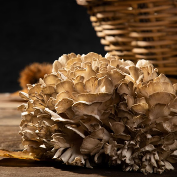 Maitake 150gr