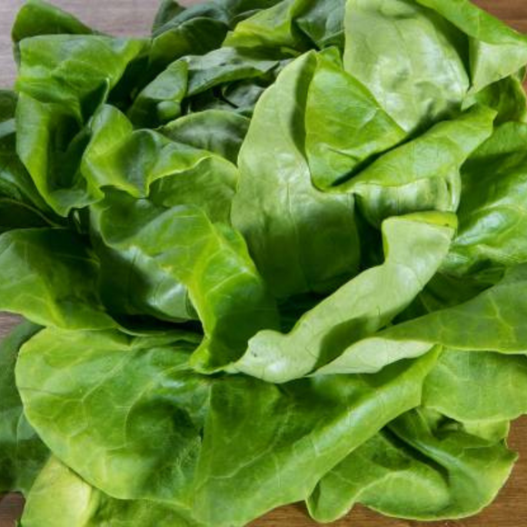 Lettuce