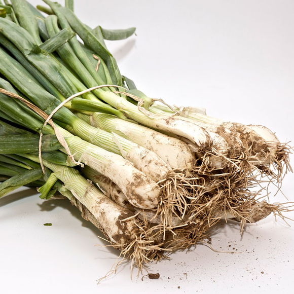 Calçots