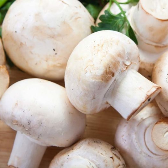 Xampinyó Blanc 250gr