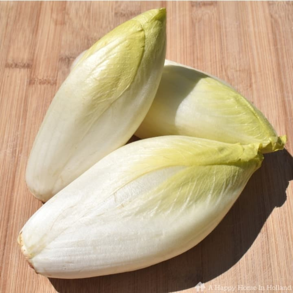 Endive 300gr