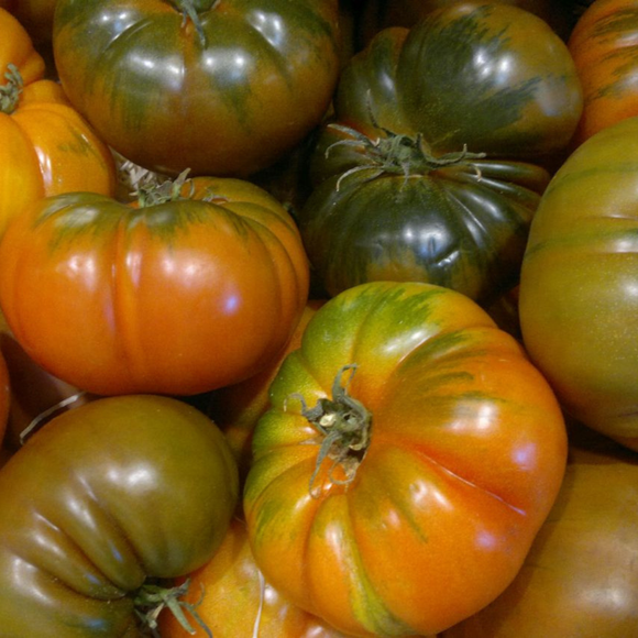 RAF Tomato 500gr