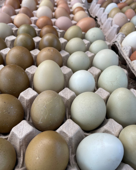 Color Eggs (6)