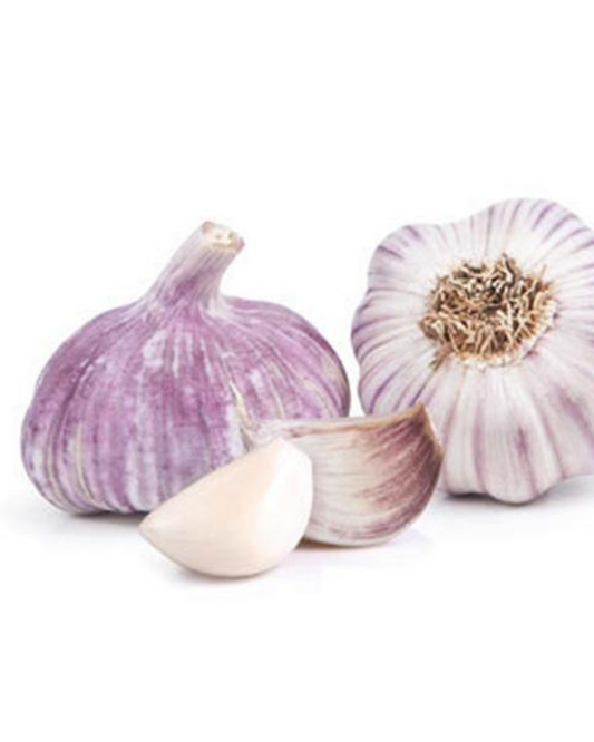 Garlic white / purple