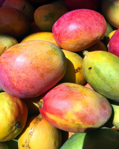 Mango Osteen