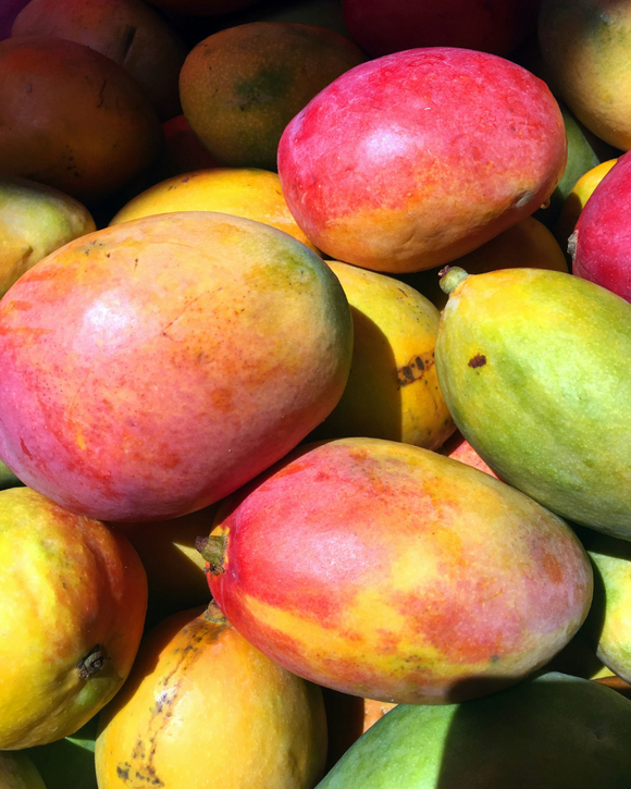 Mango Osteen