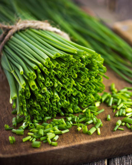 Chives