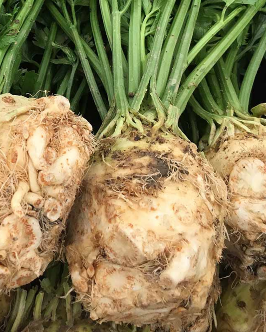 Celery Root