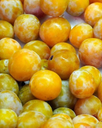 Yellow Plum 1/2kg