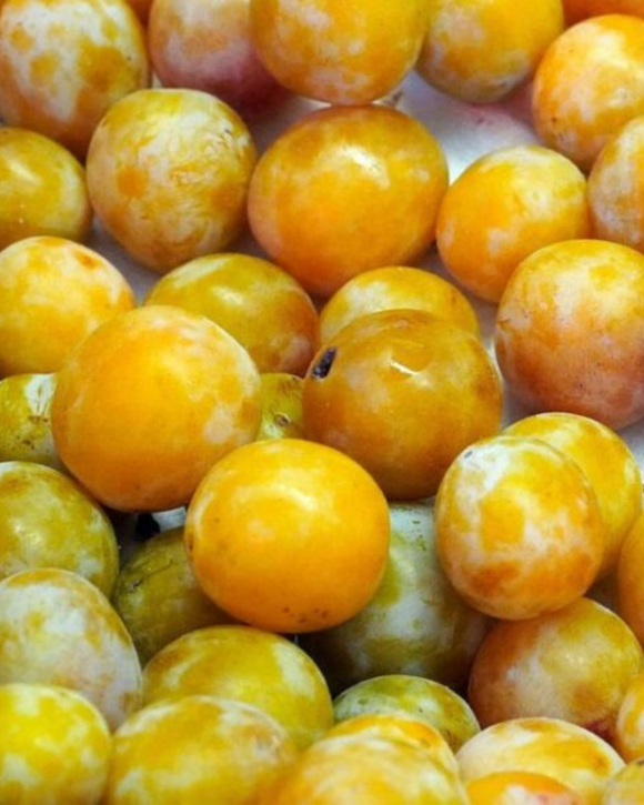 Yellow Plum 1/2kg