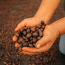 Filter Coffee - Pre-order-2