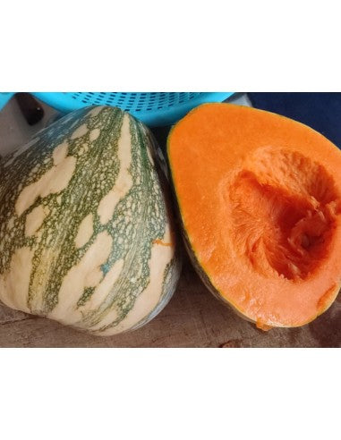 Calabaza Tofol