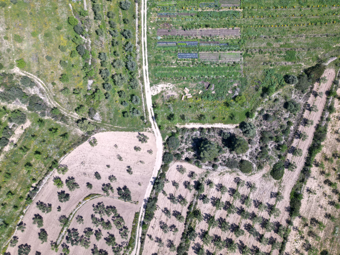 Eco farm tarragona topdown