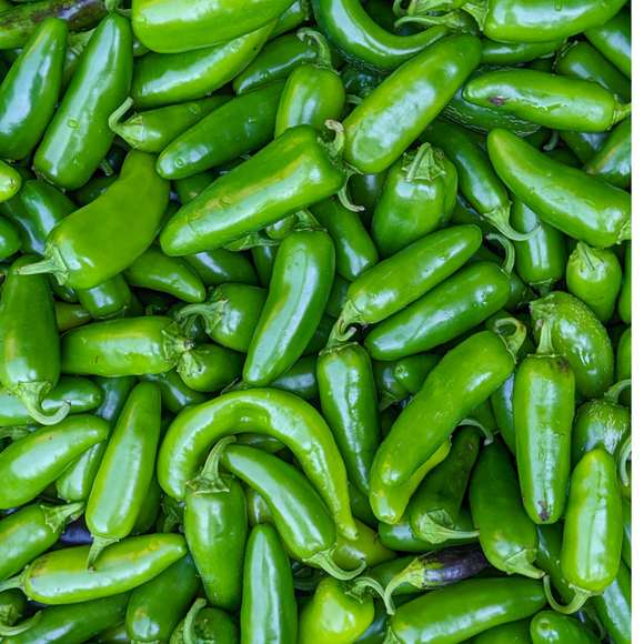 Pebrot jalapeño 100gr