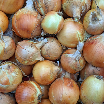 Cebolla seca (Reca) 1kg